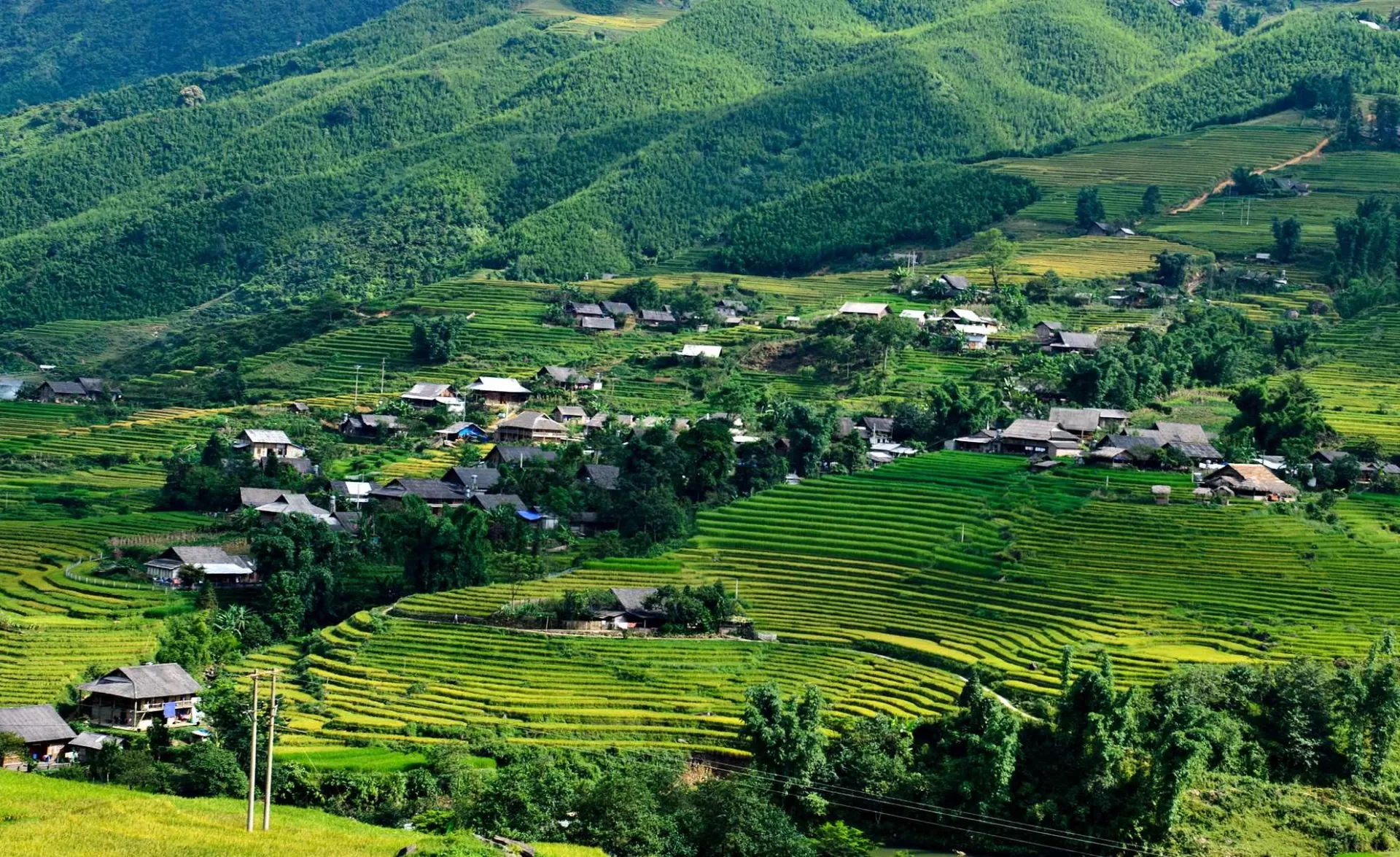 Top 10 Must-See Scenic Spots in Sapa – Nature’s Masterpiece in Northern Vietnam