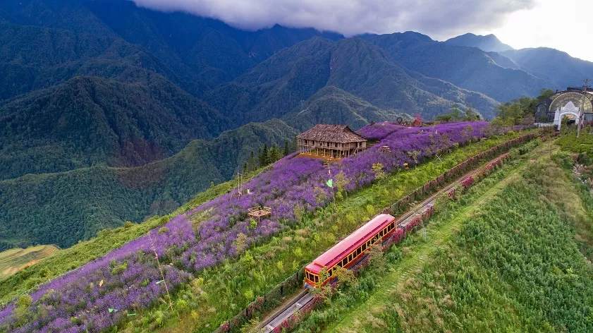 Top 10 Must-See Scenic Spots in Sapa – Nature’s Masterpiece in Northern Vietnam